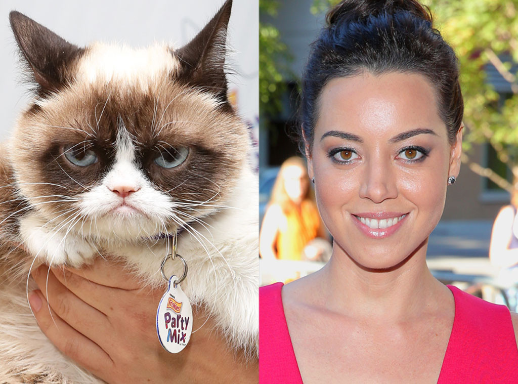 Aubrey Plaza To Voice Grumpy Cat In Lifetime Tv Movie Grumpy Cat S